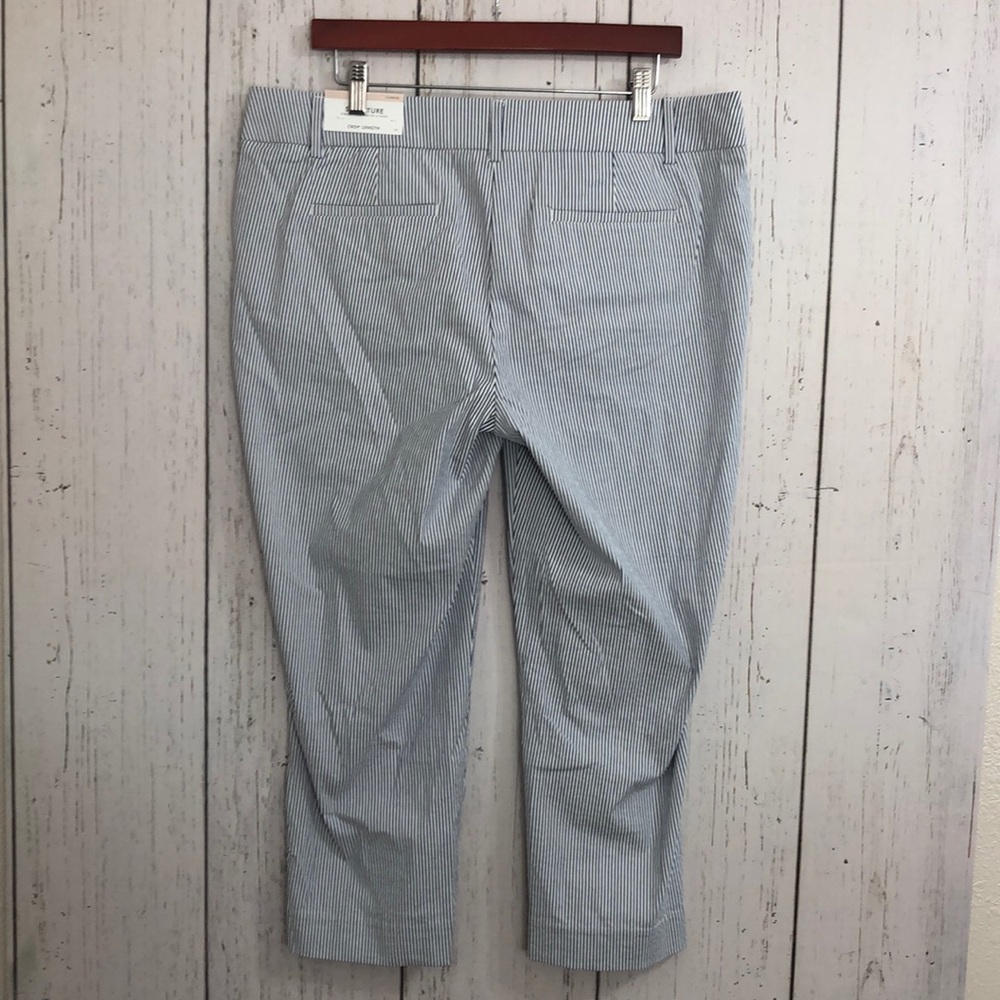🆕 Ann Taylor Signature Crop Length Striped Pants - Picture 8 of 15
